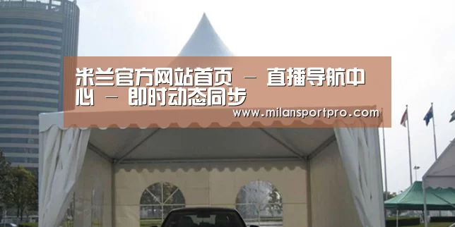 案例标题八