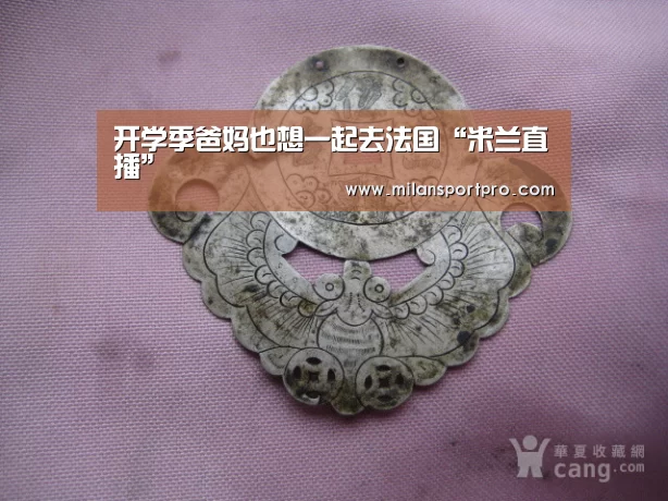 开学季爸妈也想一起去法国“米兰直播”(图3) 米兰直播