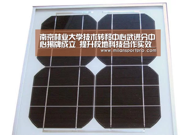 南京林业大学技术转移中心武进分中心揭牌成立 提升校地科技合作实效_米兰直播(图3) 米兰频道