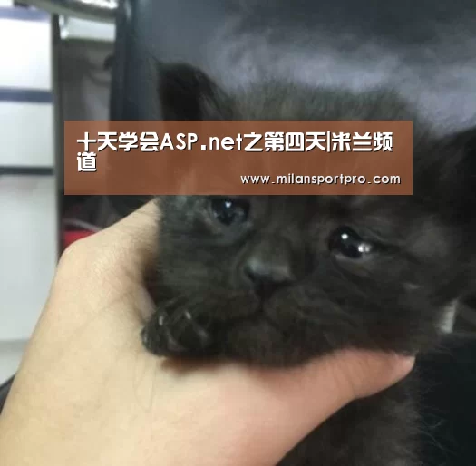 十天学会ASP.net之第四天|米兰频道(图1) 米兰首页