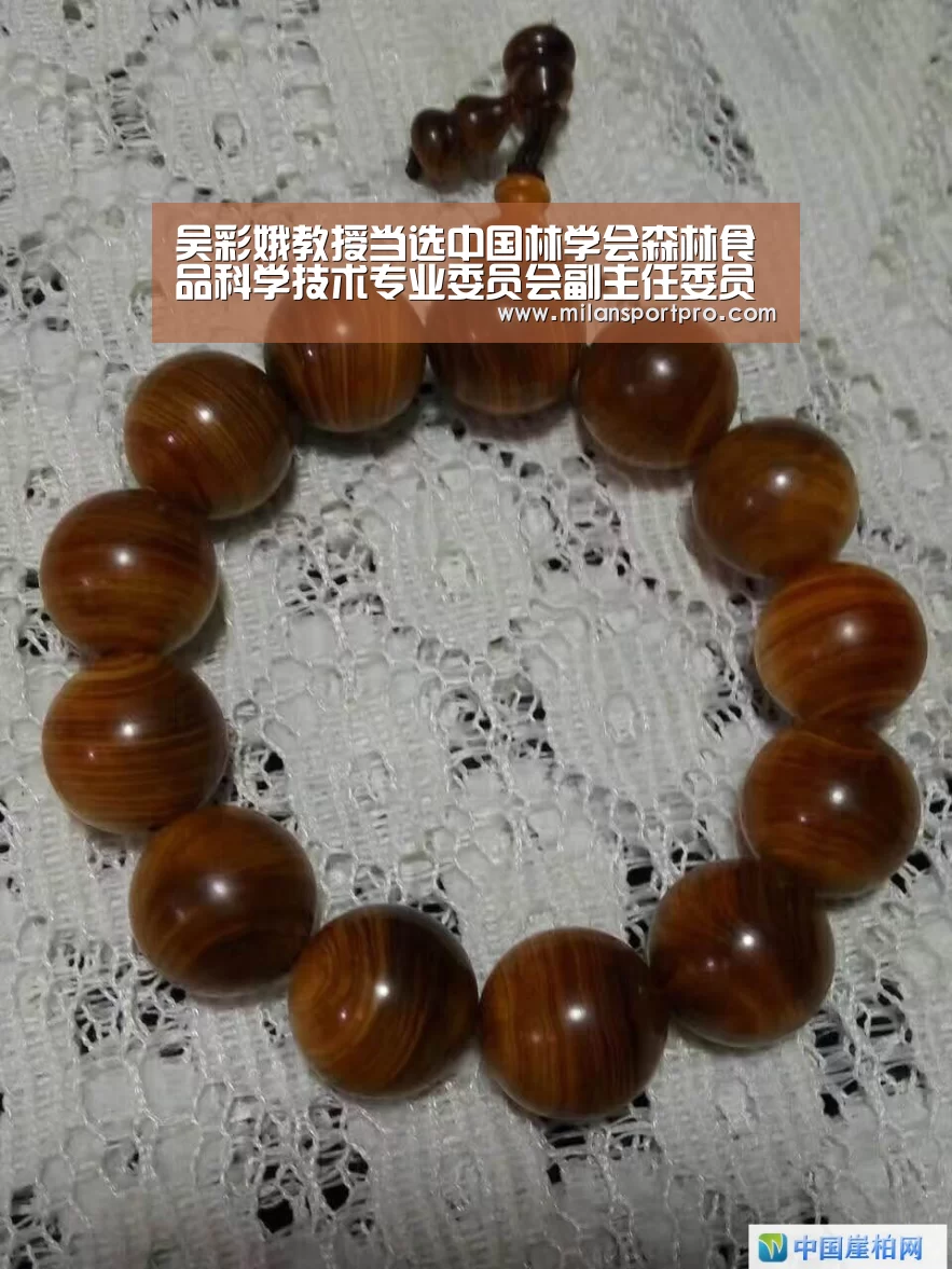 吴彩娥教授当选中国林学会森林食品科学技术专业委员会副主任委员“米兰直播”(图4) 米兰首页